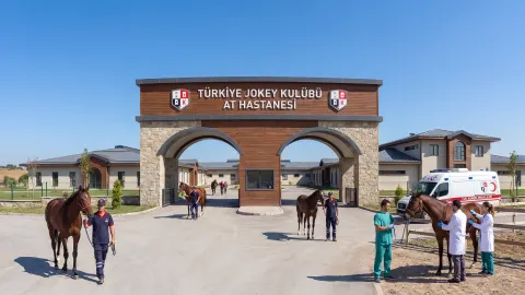  Türkiye Jokey Kulubü At Hastaneleri