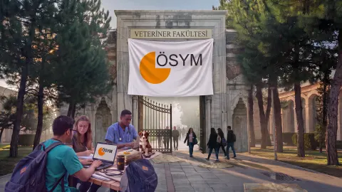 2025 Veteriner Fakülteleri Taban Puanları